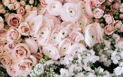 4 fiori perfetti per un matrimonio in primavera