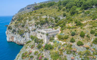 Tenuta Punta Galera